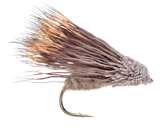 ZeKclm-removebg-preview-1